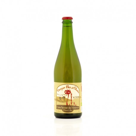 Cidre demi-sec Verger bio d'Ohain - 75cl