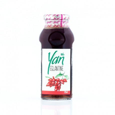 Jus gratte-cul Eglantine Yan