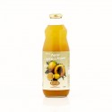 Nectar Papaye/Fruits de la passion 1L biologique - Saldac