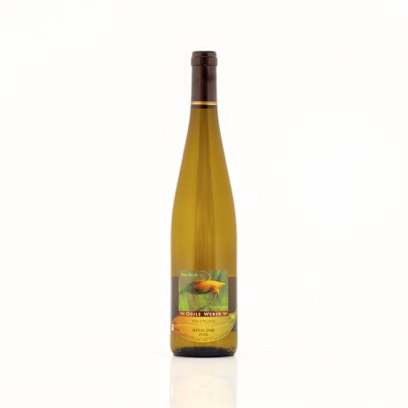 AOC Riesling blanc sec fruité Domaine Odile Weber 2013 biologique